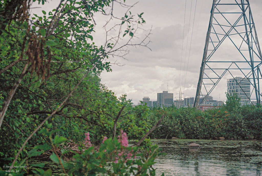 the view of Ottawa from Gatineau