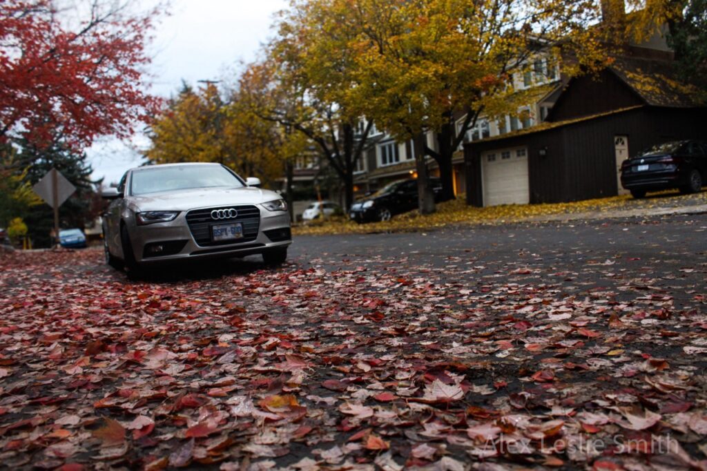 Car parked on top of a pile of old leaves